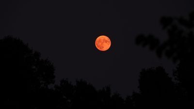Image for story: Strawberry Moon 2025: When, where & how to watch this mini magical full moon rise 