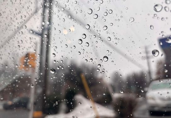 Image for story: STORM ALERT: Hot and humid Friday could bring severe afternoon storms